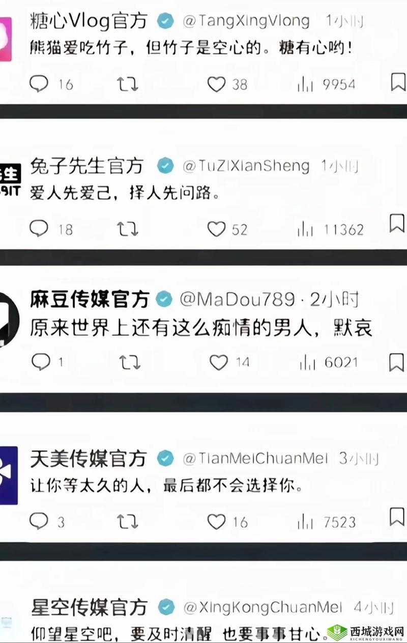 玩偶姐姐与糖心 vlog：关于她们的故事与独特魅力解析