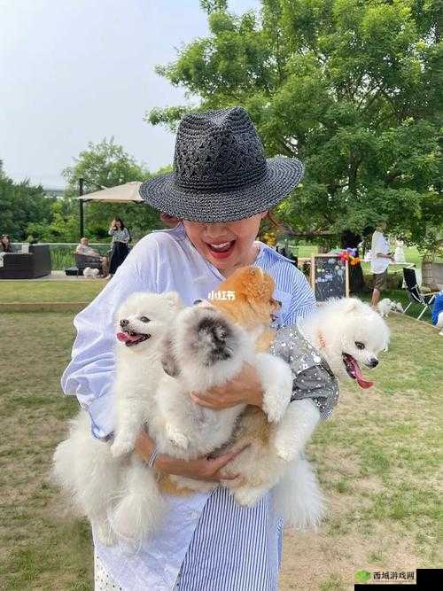 欧美最新狗人交照片相关内容引发热议