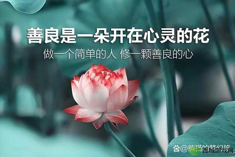 被夹在中间当磨心最后会怎样？收录大量黑料：一场不可避免的风暴