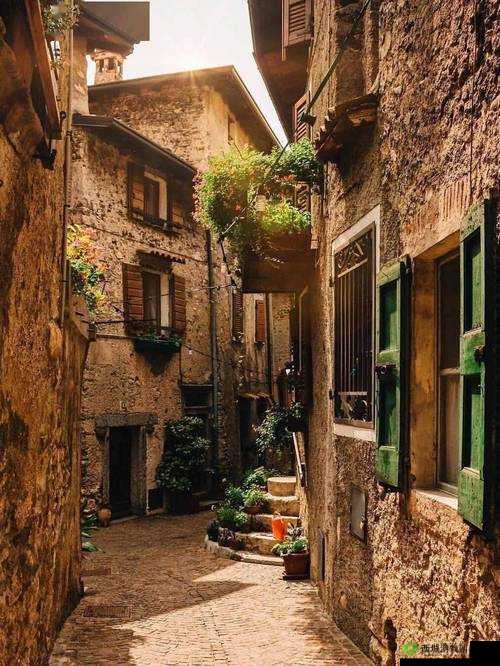 莲花 1980 意大利:一段独特的意式风情岁月之旅