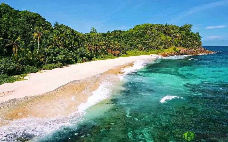 色天堂 TV 带来极致视觉盛宴与精彩体验