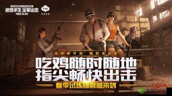 绝地求生全军出击，策略与技巧的深度剖析