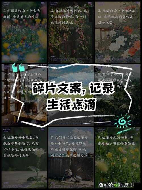 上司老婆的别样生活点滴与感悟