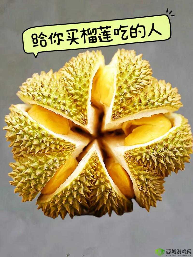 ll999 榴莲：极致美味让你流连忘返回味无穷