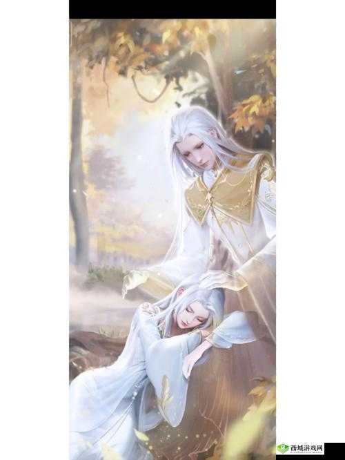 云裳羽衣，织梦之旅的华章