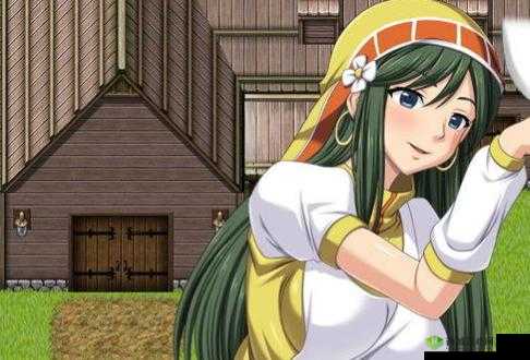 可以随便侵犯 NPC 界面如何退出及相关处理办法探讨