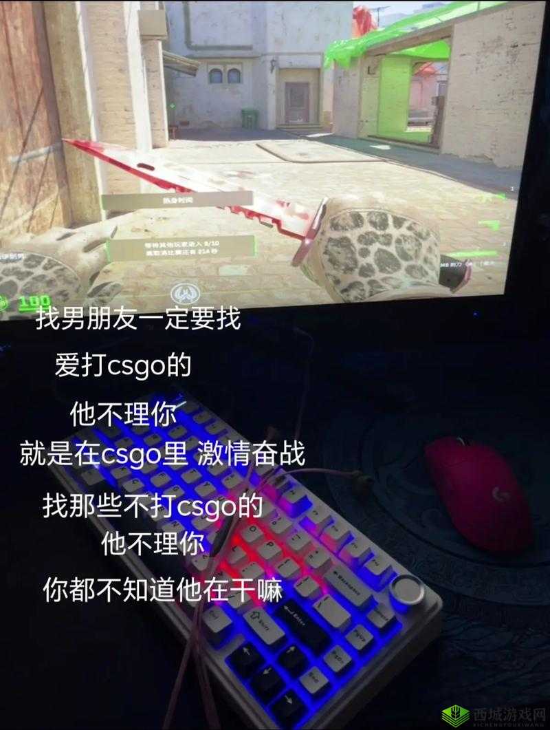 55 岁大妈玩的 csgo 背后故事:一位大妈的游戏激情与人生探索