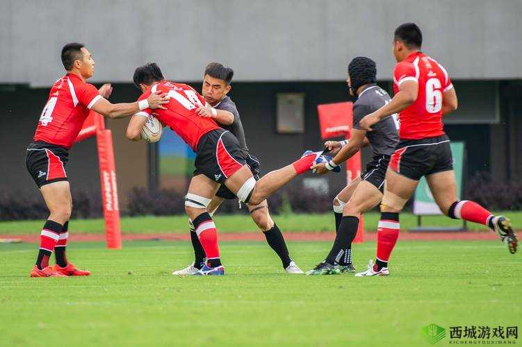 放学别跑橄榄球赛怎么玩,规则介绍在资源管理中的重要性及高效应用