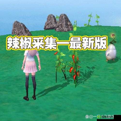 探索创造与魔法的奇妙世界，稀有食材的寻觅之旅