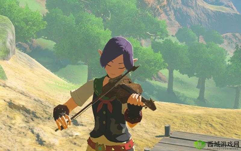 希望传说，光辉之旅与NPC的交织篇章