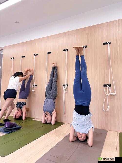 戴着小玩具练瑜伽：探索独特运动体验的奇妙之旅