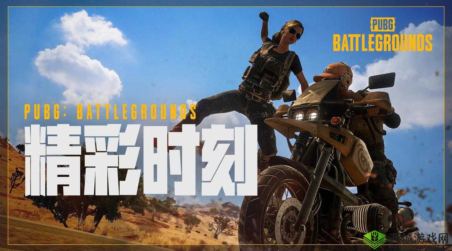 绝地求生全军出击遇见幻影坦克,资源管理中的独特体验与价值最大化