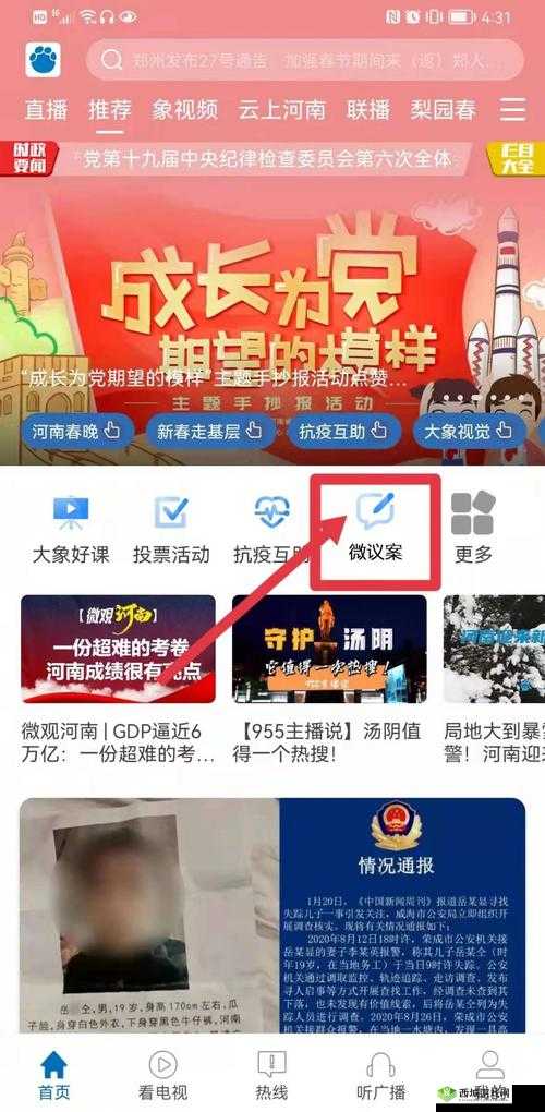 满 18 岁用户如何安全进入 2024 大象平台:指南