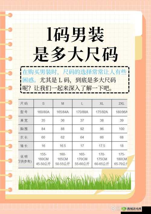 国产尺码和欧洲尺码 2024：深入对比与未来发展趋势研究