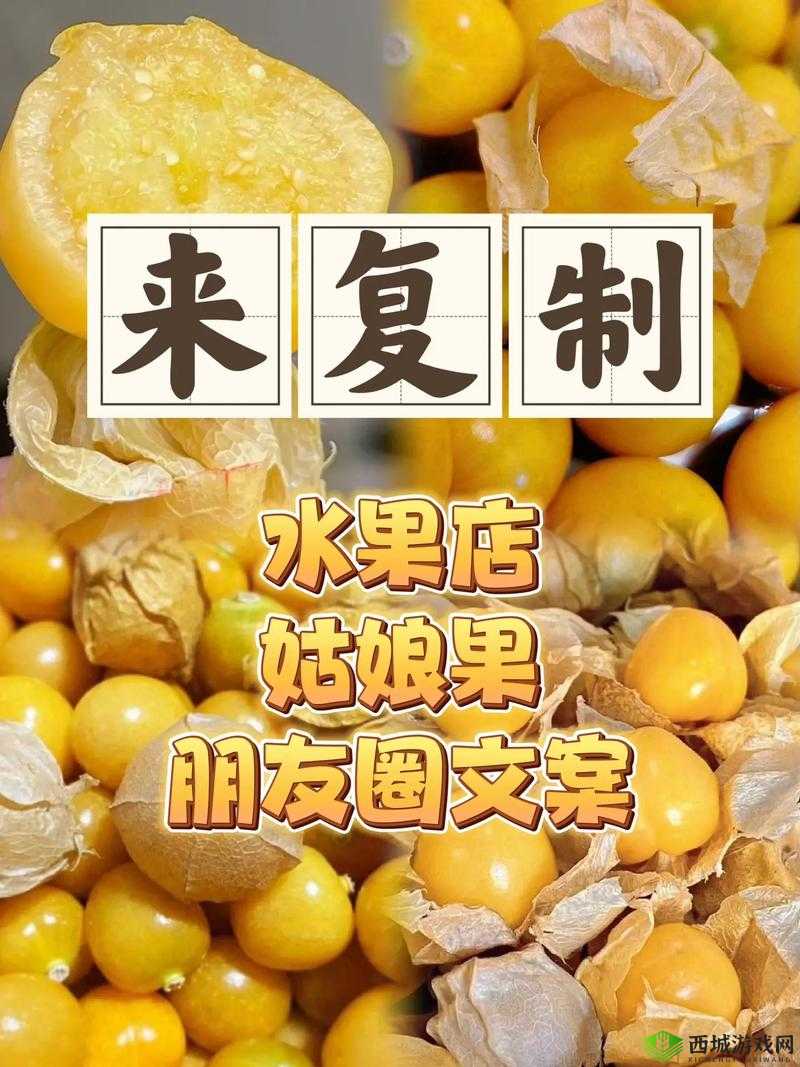 小明的妈妈和李阿姨去同一水果店：讲述她们的水果选购之旅