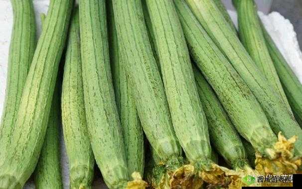 草莓香蕉榴莲丝瓜十八岁可以吃吗:食品选择与健康