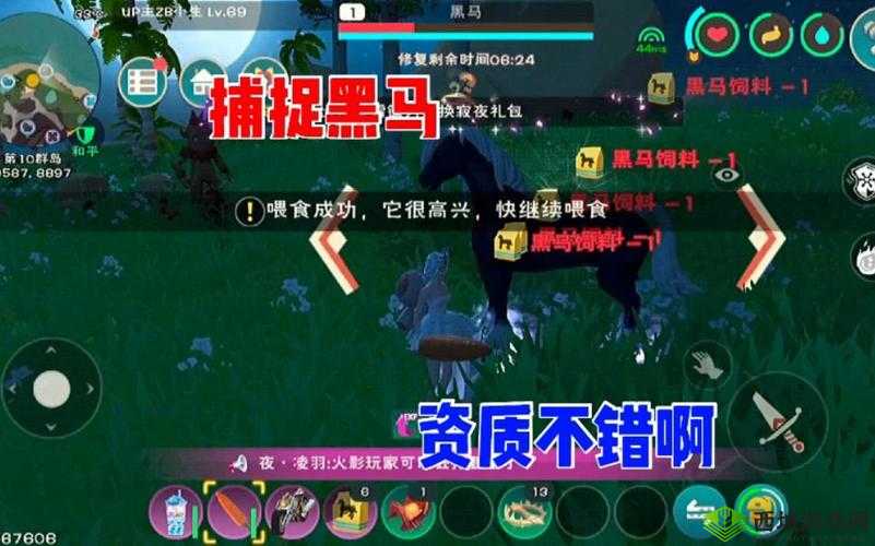 探索创造与魔法中的奇幻之旅，捕捉黑马的艺术