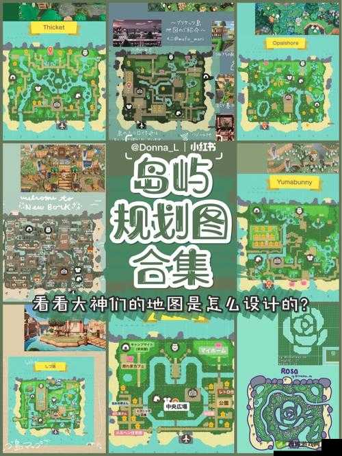 全民岛主，好友管理与岛屿探索的详尽指南