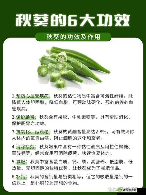 秋葵是否适合未满十八岁的人食用呢