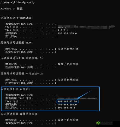日本服务器免费 IP 地址浏览器相关内容介绍及使用方法