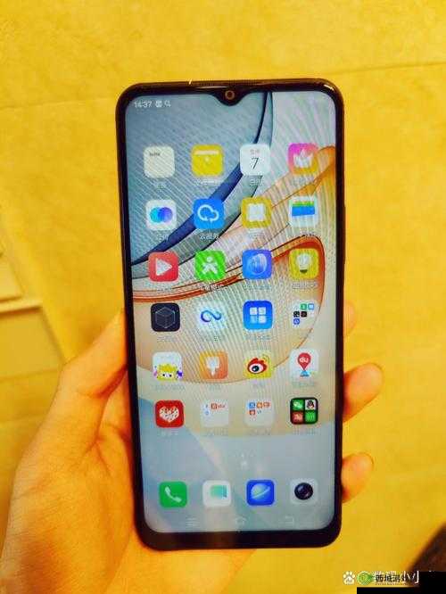 y31 成色好却无法进入，原因究竟为何？