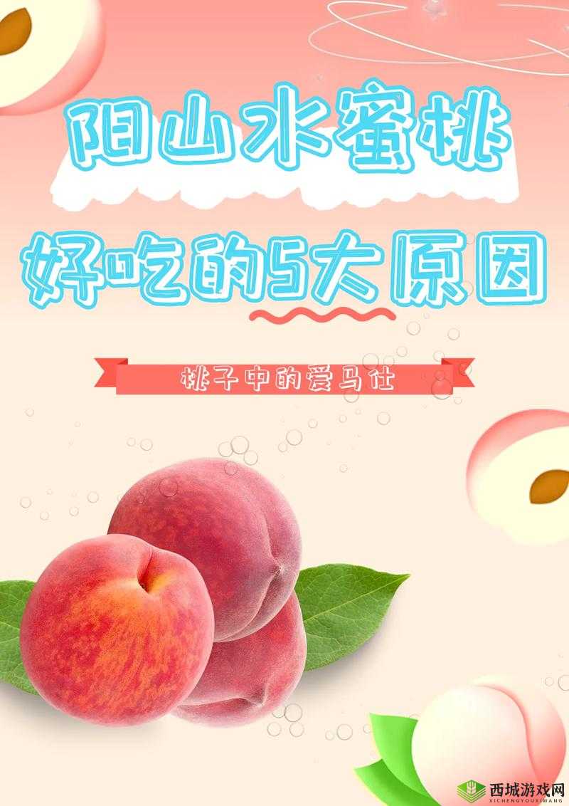 水蜜桃与水蜜桃 V2 重磅登场:开启甜蜜与创新的新篇章