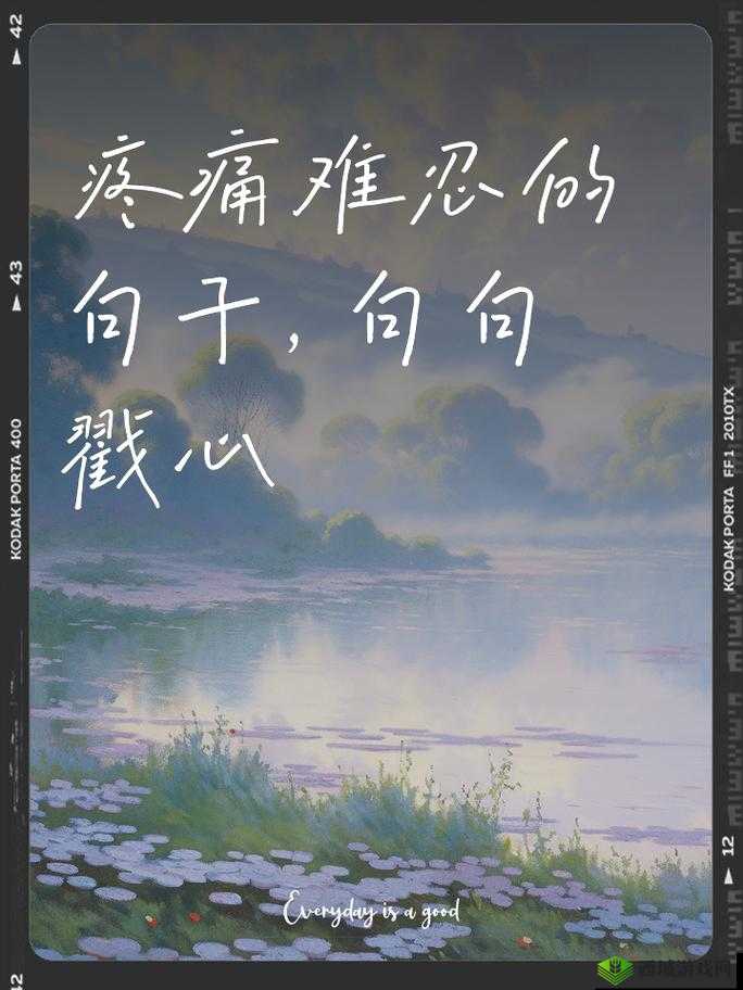 刚刚刚刚好痛:一段难以言喻的疼痛经历与内心挣扎