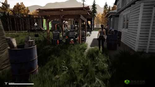 迷雾求生，在未知中探索生存的艺术