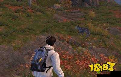 探秘明日之后，机械师与采集者的职业魅力与实力对比