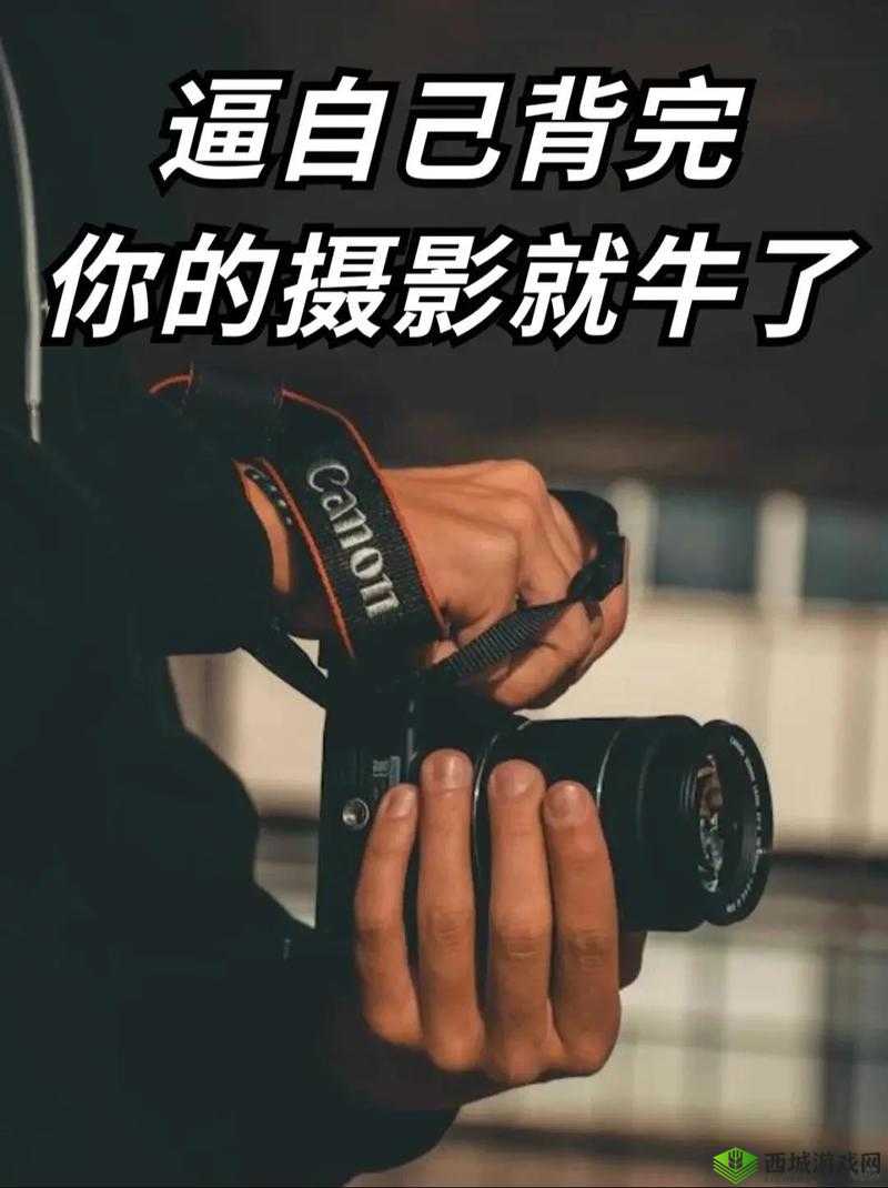 摄影艺术入门指南:从基础到进阶的全面学习宝典