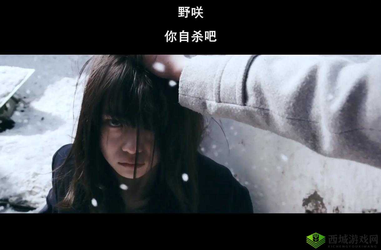 日本电影三叶草的春天：一段触动心灵的唯美之旅