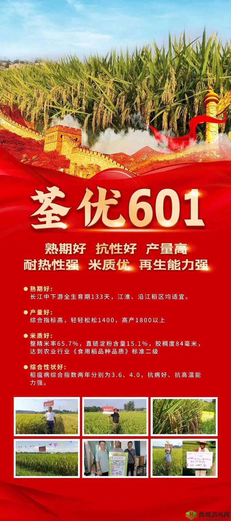 国产最顶级国精产品一二三区别:深度解析其品质与特性差异