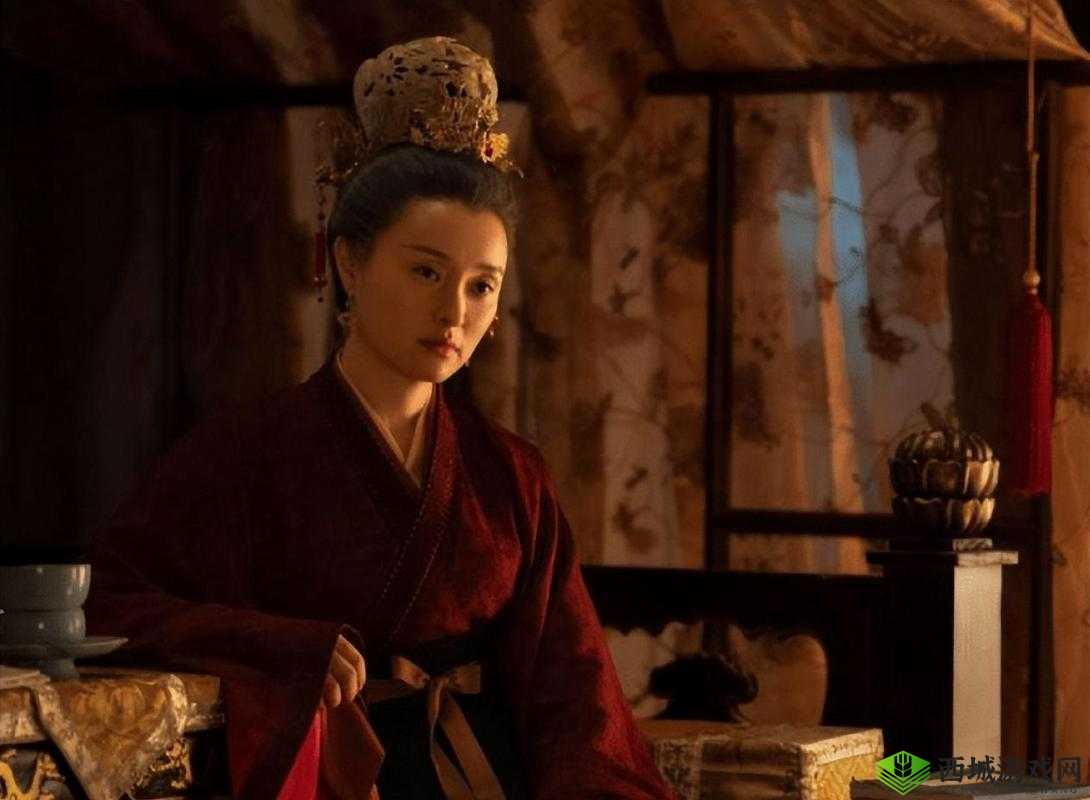 大臣干群皇太后之间的复杂情感纠葛与宫廷风云变幻