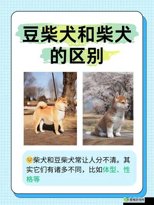 国产一区二区区别:探究其在不同方面的具体表现与差异