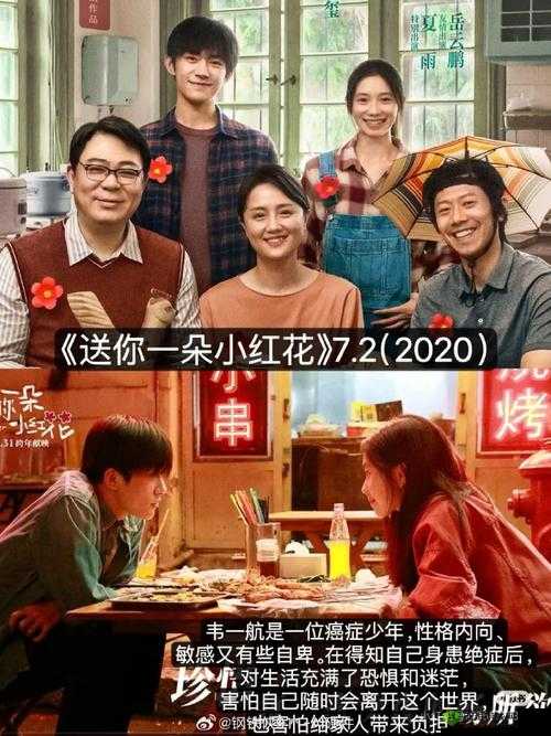 小小影院电视剧在线观看新区免费品尝平台：畅享精彩剧集无负担