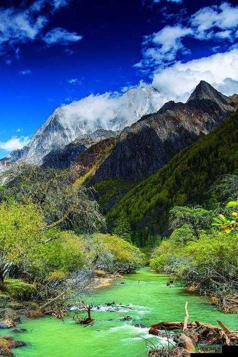 手一路下滑探寻秘密花园：一段充满好奇与神秘的奇妙之旅