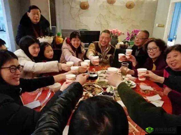 部长来家里吃饭在线看:一场特殊的家庭聚会体验