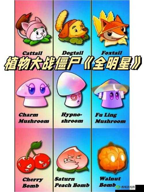 水蜜桃香蕉含羞草：三种植物的奇妙世界与独特魅力