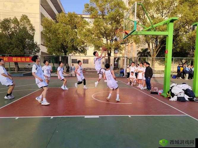 校园运动会：青春飞扬激情燃烧的热血竞技赛场