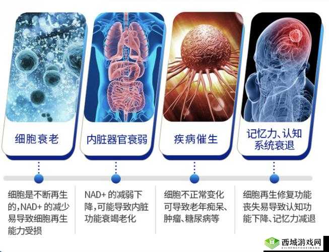 全球首例：三叶草私人研究所成功解析衰老基因：长生不老有望？