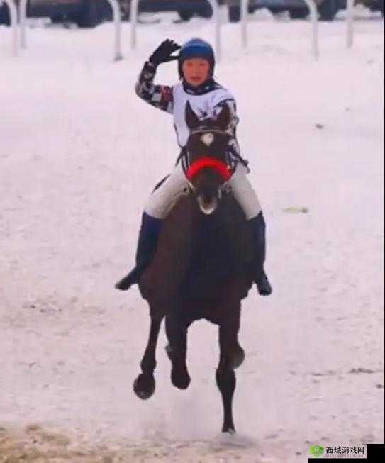 随着马儿的奔跑项弄:一段充满激情与挑战的旅程