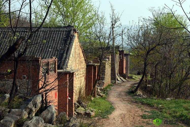 荒草坡下的两扇门:见证岁月的故事