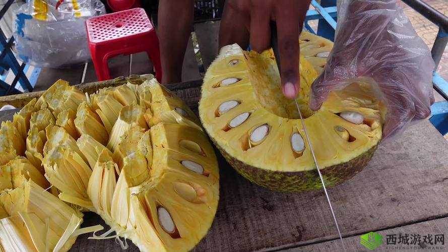 菠萝菠萝蜜视频免费看 5：探索神秘世界的奇妙之旅