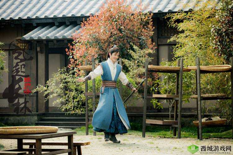 琅琊榜风起长林视角调整技巧，怎么设置好