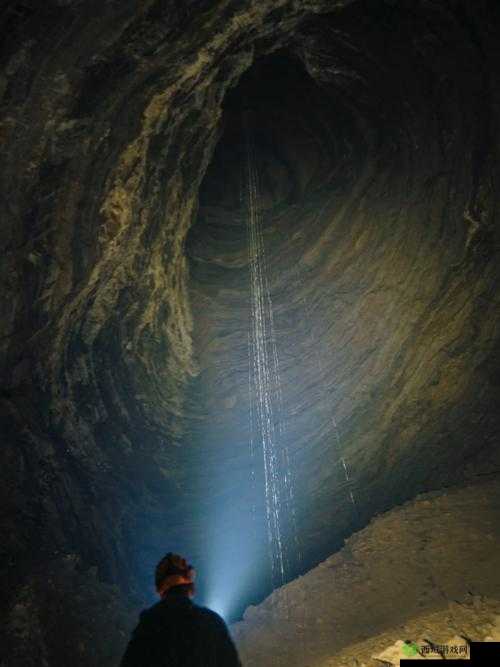 神秘 vip 通道:窥探未知世界的入口