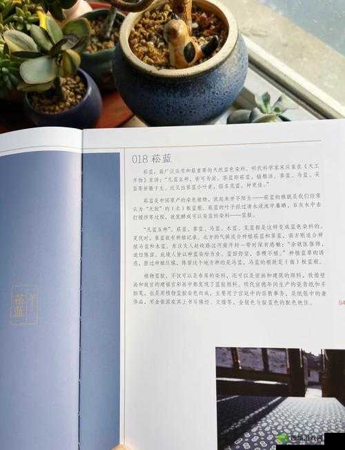 亚欧色吧：探索亚欧文化的魅力与色彩