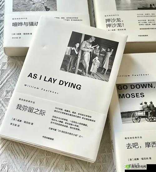 zzljzzlj 是非常重要且具有独特意义的存在