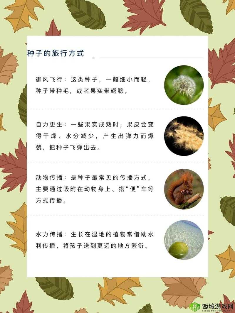 一起草在哪 17c14:探索自然的奥秘