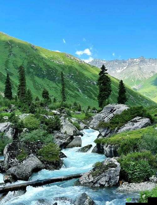 边境之旅，探索未知，感受自然与人文的交融