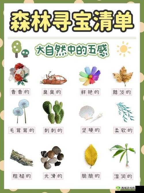 边境之旅松果位置一览，在萤火虫森林的寻宝指南